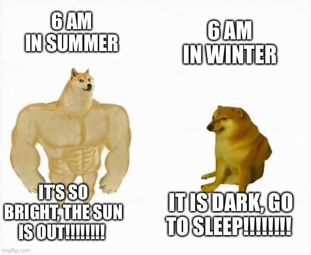 6 am in summer vs winter | 6 AM IN SUMMER; 6 AM IN WINTER; IT’S SO BRIGHT, THE SUN IS OUT!!!!!!!! IT IS DARK, GO TO SLEEP!!!!!!!! | image tagged in strong dog vs weak dog | made w/ Imgflip meme maker