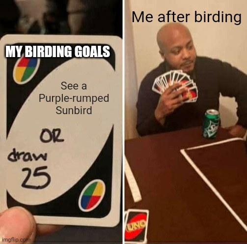 So sad... I never get to see one | Me after birding; MY BIRDING GOALS; See a Purple-rumped Sunbird | image tagged in memes,uno draw 25 cards,birds,bird memes,bird,birb | made w/ Imgflip meme maker