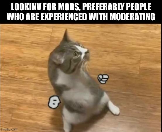 LOOKING FOR MODS, PREFERABLY PEOPLE  WHO ARE EXPERIENCED WITH MODERATING | made w/ Imgflip meme maker
