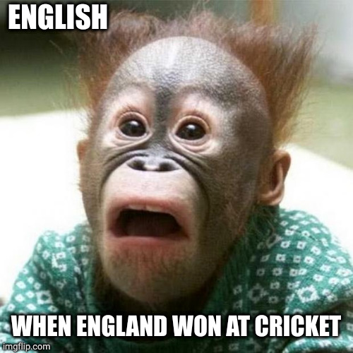 Shocked Monkey | ENGLISH WHEN ENGLAND WON AT CRICKET | image tagged in shocked monkey | made w/ Imgflip meme maker