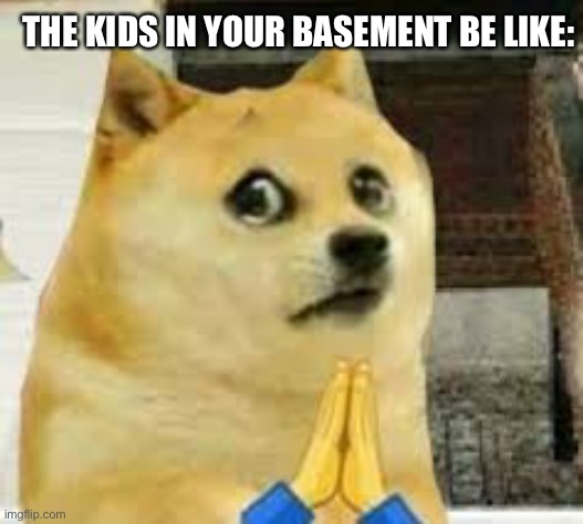 First meme here | THE KIDS IN YOUR BASEMENT BE LIKE: | image tagged in memes,doge,funny,dank memes,dark humor,edgy | made w/ Imgflip meme maker