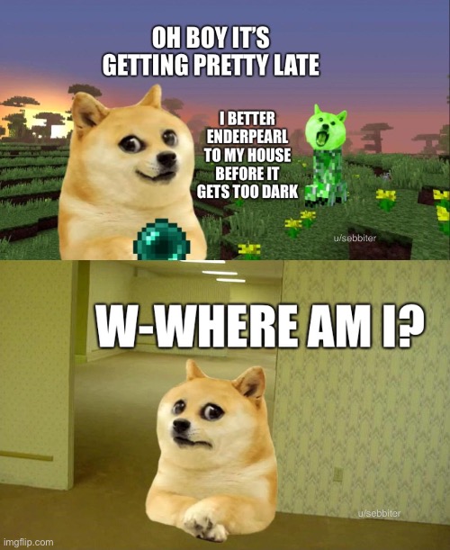 End teleport | image tagged in memes,funny,doge,minecraft,the backrooms | made w/ Imgflip meme maker