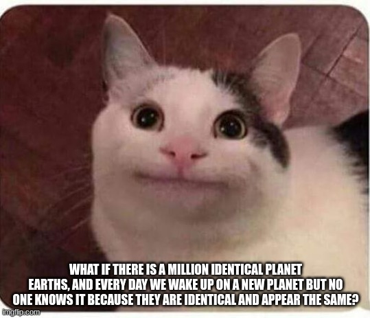 what if | WHAT IF THERE IS A MILLION IDENTICAL PLANET EARTHS, AND EVERY DAY WE WAKE UP ON A NEW PLANET BUT NO ONE KNOWS IT BECAUSE THEY ARE IDENTICAL AND APPEAR THE SAME? | image tagged in polite cat | made w/ Imgflip meme maker