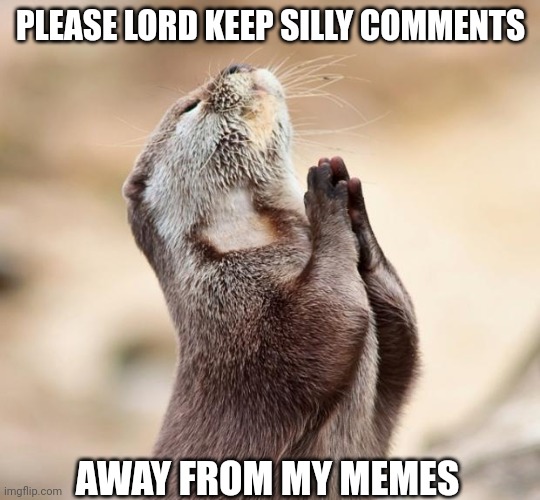 animal praying | PLEASE LORD KEEP SILLY COMMENTS; AWAY FROM MY MEMES | image tagged in animal praying | made w/ Imgflip meme maker