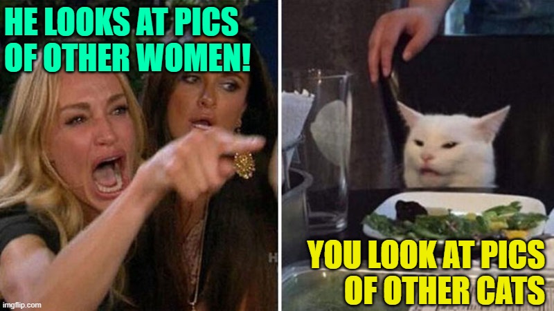 Hypocrisy Cat | HE LOOKS AT PICS
OF OTHER WOMEN! YOU LOOK AT PICS
OF OTHER CATS | image tagged in housewife vs cat,cats,cat memes,funny,hypocrisy,lol | made w/ Imgflip meme maker