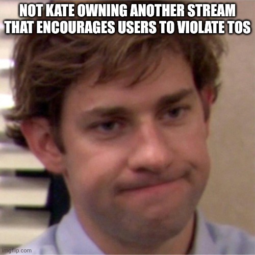 That's just sad | NOT KATE OWNING ANOTHER STREAM THAT ENCOURAGES USERS TO VIOLATE TOS | image tagged in not surprised face | made w/ Imgflip meme maker