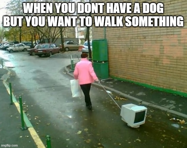 how smart | WHEN YOU DONT HAVE A DOG BUT YOU WANT TO WALK SOMETHING | image tagged in walking | made w/ Imgflip meme maker