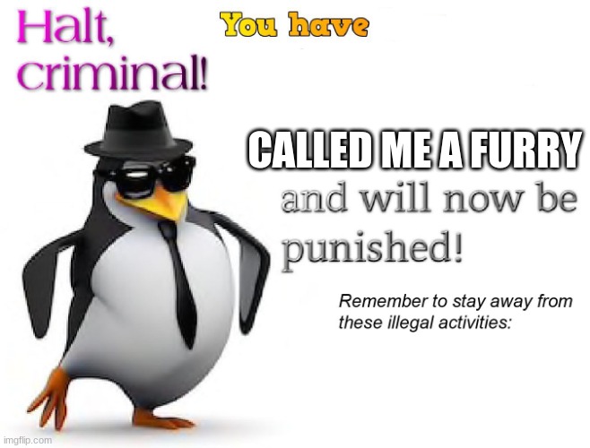 halt criminal! | CALLED ME A FURRY | image tagged in halt criminal | made w/ Imgflip meme maker