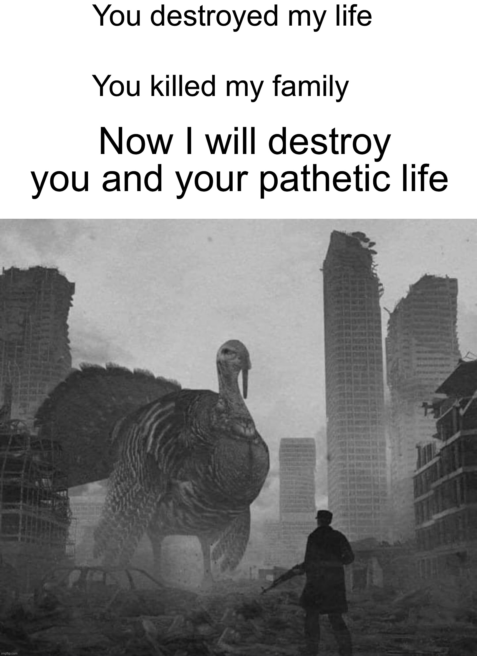Revenge of The Turkeys | You destroyed my life; You killed my family; Now I will destroy you and your pathetic life | image tagged in memes,funny,evil,turkey,thanksgiving,funny memes | made w/ Imgflip meme maker