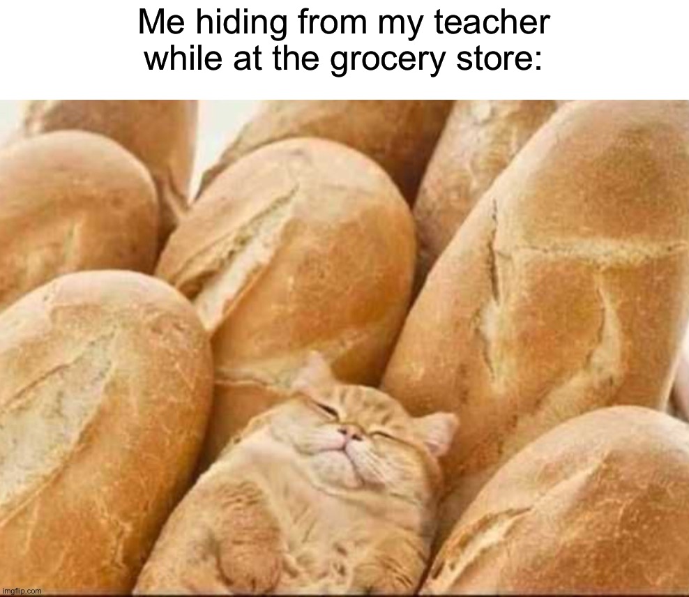 Not wrong | Me hiding from my teacher while at the grocery store: | image tagged in memes,funny,cats,relatable memes,school,true story | made w/ Imgflip meme maker
