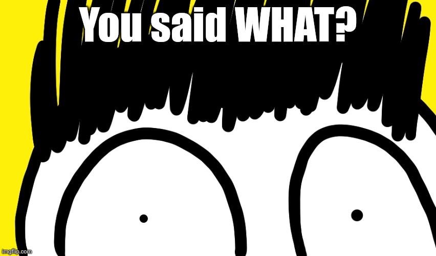 Doodle stare | You said WHAT? | image tagged in doodle stare | made w/ Imgflip meme maker