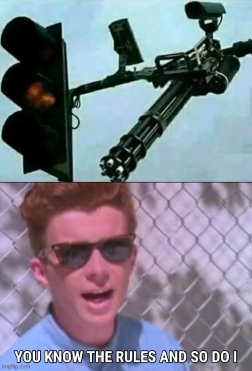 the only way to make people follow the traffic rules | image tagged in rick astley you know the rules,traffic | made w/ Imgflip meme maker