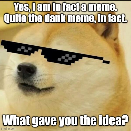 Unhealthily smug and conceited is the one who wears of the sunglasses... | Yes, I am in fact a meme. Quite the dank meme, in fact. What gave you the idea? | image tagged in sunglass doge,simothefinlandized,dank memes,tries to be cool,pride is a deadly sin | made w/ Imgflip meme maker