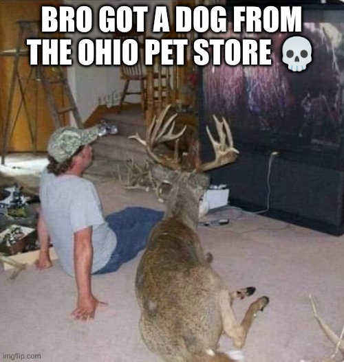 Only in Ohio ( mod note: I’m pretty sure that is sweden/ the Middle East) | BRO GOT A DOG FROM THE OHIO PET STORE 💀 | image tagged in ohio,only in ohio,deer | made w/ Imgflip meme maker