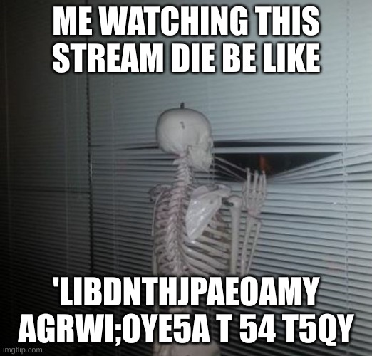 mod is granted to first 5 people to join | ME WATCHING THIS STREAM DIE BE LIKE; 'LIBDNTHJPAEOAMY AGRWI;OYE5A T 54 T5QY | image tagged in me waiting for my sister to pay me back | made w/ Imgflip meme maker