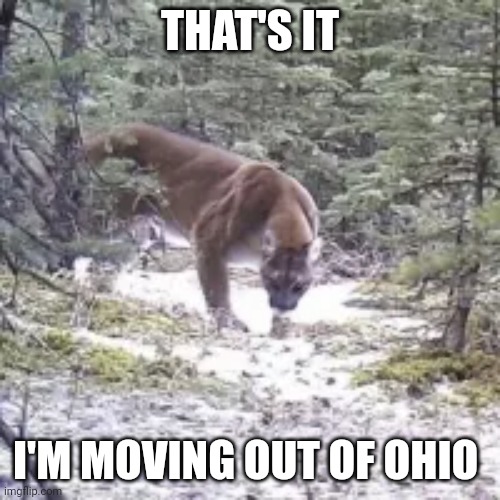 Aw hell naw | THAT'S IT; I'M MOVING OUT OF OHIO | image tagged in ohio state,grumpy cat | made w/ Imgflip meme maker