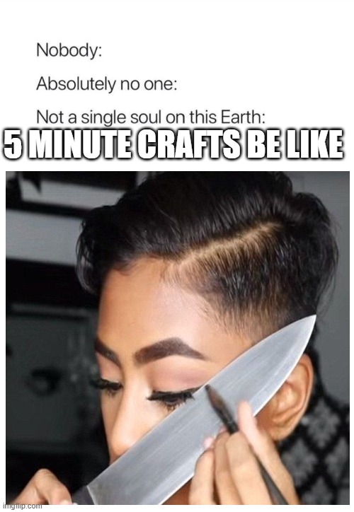 5 minutes craft | 5 MINUTE CRAFTS BE LIKE | image tagged in nobody absolutely no one | made w/ Imgflip meme maker