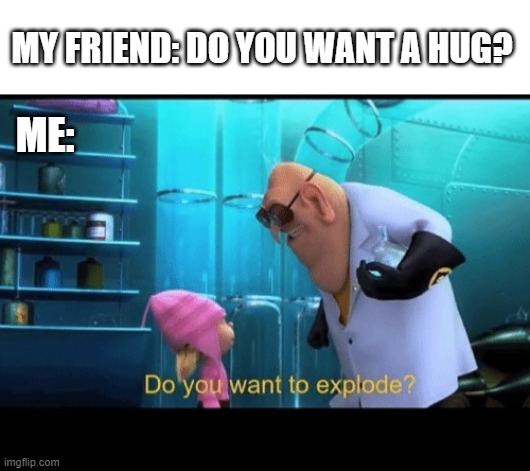 Everybody "LOVES" hugs! | MY FRIEND: DO YOU WANT A HUG? ME: | image tagged in do you want to explode,hugs,nope,i dont know what i am doing | made w/ Imgflip meme maker
