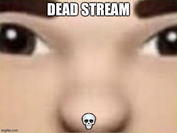 r | DEAD STREAM; 💀 | image tagged in r | made w/ Imgflip meme maker