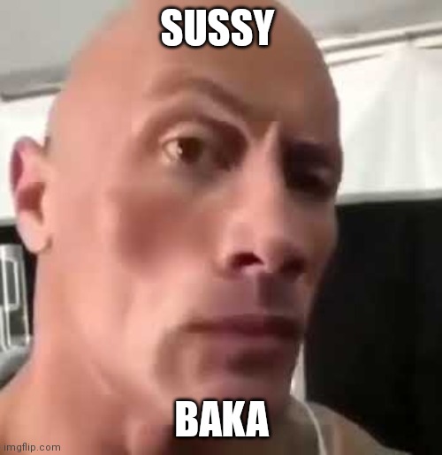 SUSSY BAKA | image tagged in the rock eyebrows | made w/ Imgflip meme maker