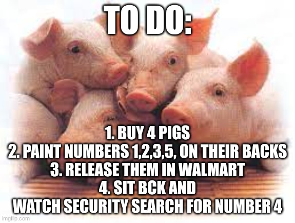 This would be hilarious | TO DO:; 1. BUY 4 PIGS
2. PAINT NUMBERS 1,2,3,5, ON THEIR BACKS
3. RELEASE THEM IN WALMART
4. SIT BCK AND WATCH SECURITY SEARCH FOR NUMBER 4 | image tagged in pig | made w/ Imgflip meme maker