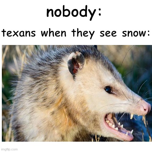 well its getting cold lets hope its like last feburary | texans when they see snow:; nobody: | image tagged in texas,snow,winter is here,memes,true story,funny | made w/ Imgflip meme maker