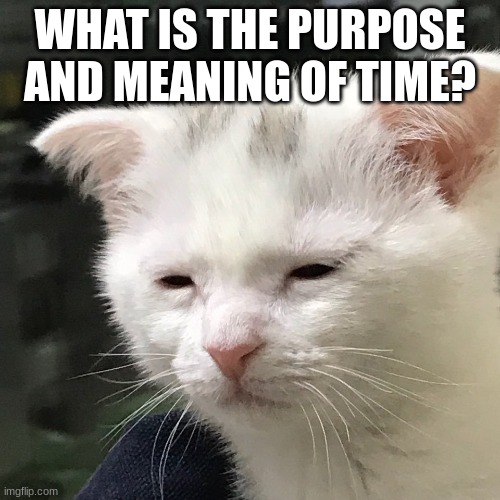 I'm awake, but at what cost? | WHAT IS THE PURPOSE AND MEANING OF TIME? | image tagged in i'm awake but at what cost | made w/ Imgflip meme maker