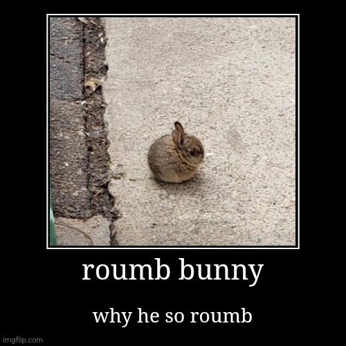 roumb bunny | image tagged in funny,demotivationals,memes,bunnies,round,ball | made w/ Imgflip demotivational maker