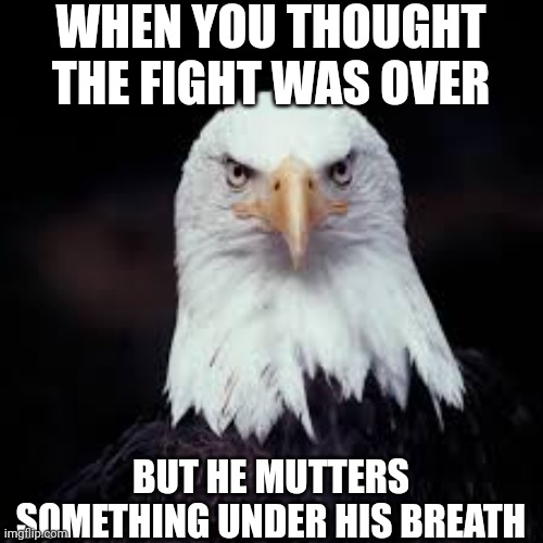 What was that?! ? | WHEN YOU THOUGHT THE FIGHT WAS OVER; BUT HE MUTTERS SOMETHING UNDER HIS BREATH | image tagged in bird,bae | made w/ Imgflip meme maker