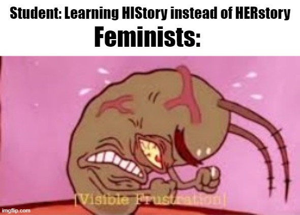 history feminists | Student: Learning HIStory instead of HERstory; Feminists: | image tagged in visible frustration,triggered feminist,triggered | made w/ Imgflip meme maker