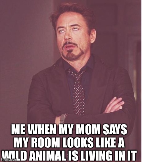 Face You Make Robert Downey Jr | ME WHEN MY MOM SAYS MY ROOM LOOKS LIKE A WILD ANIMAL IS LIVING IN IT | image tagged in memes,face you make robert downey jr | made w/ Imgflip meme maker