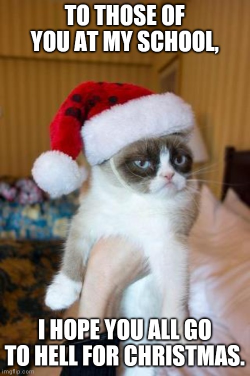 Grumpy Cat Christmas Meme | TO THOSE OF YOU AT MY SCHOOL, I HOPE YOU ALL GO TO HELL FOR CHRISTMAS. | image tagged in memes,grumpy cat christmas,grumpy cat,christmas,school | made w/ Imgflip meme maker