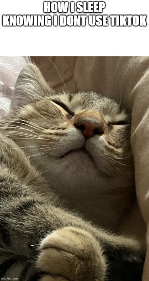 HOW I SLEEP KNOWING I DONT USE TIKTOK | image tagged in happy cat nap | made w/ Imgflip meme maker