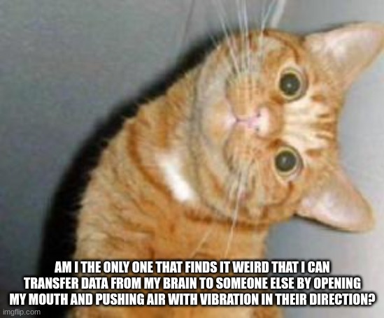 Am I? | AM I THE ONLY ONE THAT FINDS IT WEIRD THAT I CAN TRANSFER DATA FROM MY BRAIN TO SOMEONE ELSE BY OPENING MY MOUTH AND PUSHING AIR WITH VIBRATION IN THEIR DIRECTION? | image tagged in cat has a question | made w/ Imgflip meme maker