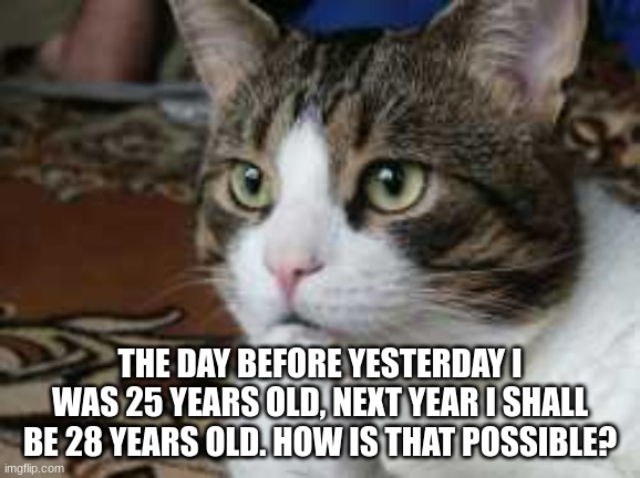 what? | THE DAY BEFORE YESTERDAY I WAS 25 YEARS OLD, NEXT YEAR I SHALL BE 28 YEARS OLD. HOW IS THAT POSSIBLE? | image tagged in ponder cat,hmmm | made w/ Imgflip meme maker