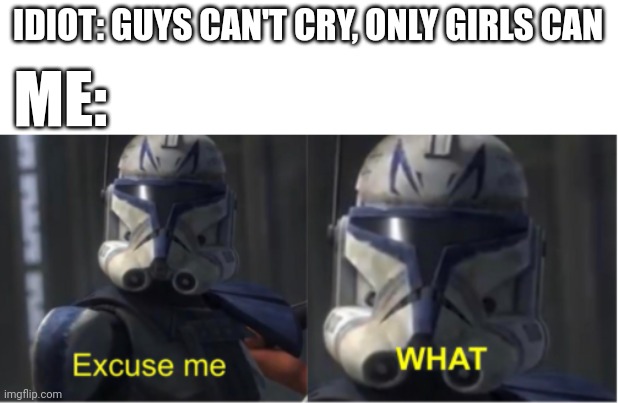Actually, everyone is allowed to cry | IDIOT: GUYS CAN'T CRY, ONLY GIRLS CAN; ME: | image tagged in excuse me what | made w/ Imgflip meme maker