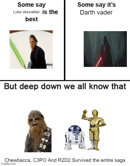 Insert funny image title here | Luke skywalker; Darth vader; Chewbacca, C3PO And R2D2 Survived the entire saga | image tagged in some say x is the best | made w/ Imgflip meme maker