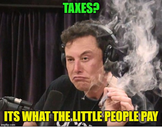 Elon Musk smoking a joint | TAXES? ITS WHAT THE LITTLE PEOPLE PAY | image tagged in elon musk smoking a joint | made w/ Imgflip meme maker