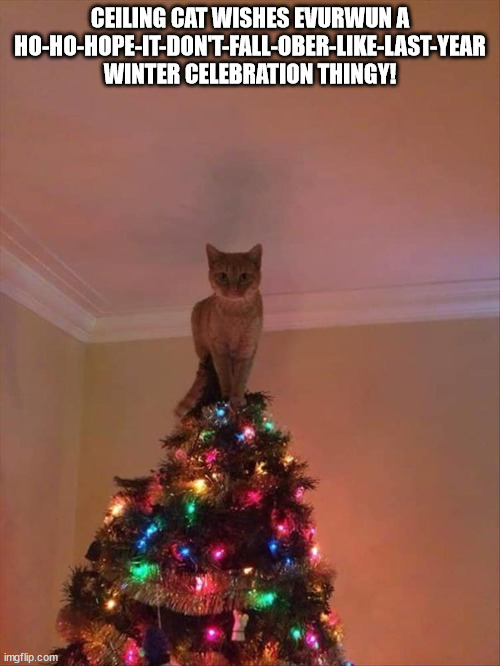Ceiling Cat Xmas Wish | CEILING CAT WISHES EVURWUN A HO-HO-HOPE-IT-DON'T-FALL-OBER-LIKE-LAST-YEAR WINTER CELEBRATION THINGY! | image tagged in christmas,cat,ceiling cat,christmas tree,christmas cat | made w/ Imgflip meme maker
