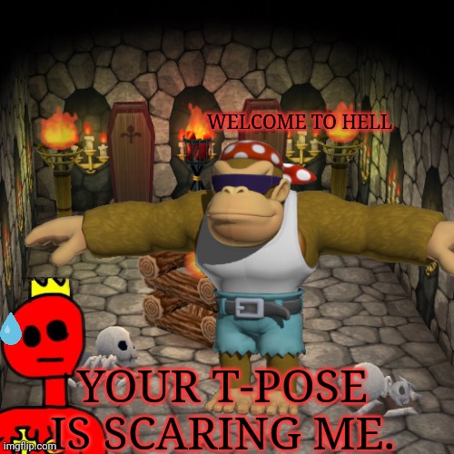 No. This is not ok. | WELCOME TO HELL; YOUR T-POSE IS SCARING ME. | image tagged in the,dungeon,its scary | made w/ Imgflip meme maker
