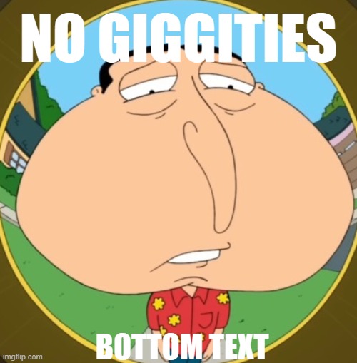 no giggities | NO GIGGITIES; BOTTOM TEXT | image tagged in no bitches quagmire,quagmire,quagmire family guy,no bitches,megamind no bitches,i have crippling depression | made w/ Imgflip meme maker
