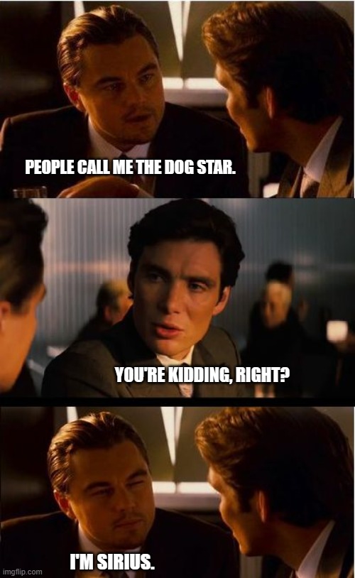 Inception | PEOPLE CALL ME THE DOG STAR. YOU'RE KIDDING, RIGHT? I'M SIRIUS. | image tagged in memes,inception,sirius black,dog,star,bad puns | made w/ Imgflip meme maker