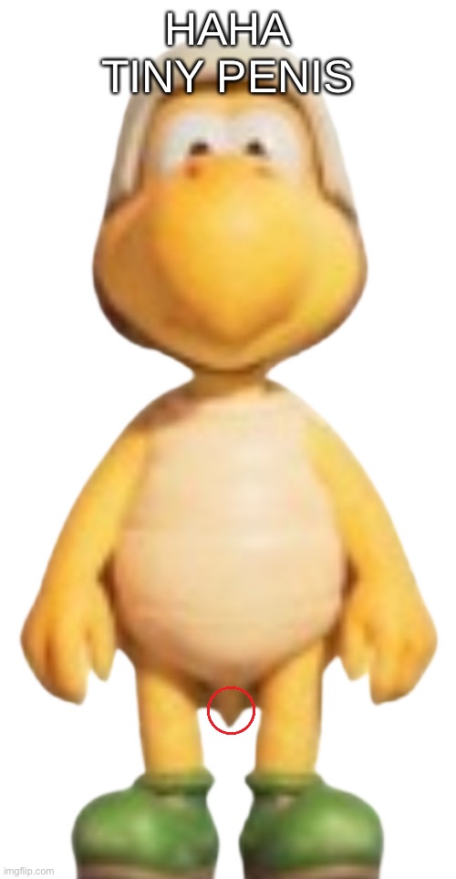 Koopa Troopa Model Tsmbm Imgflip