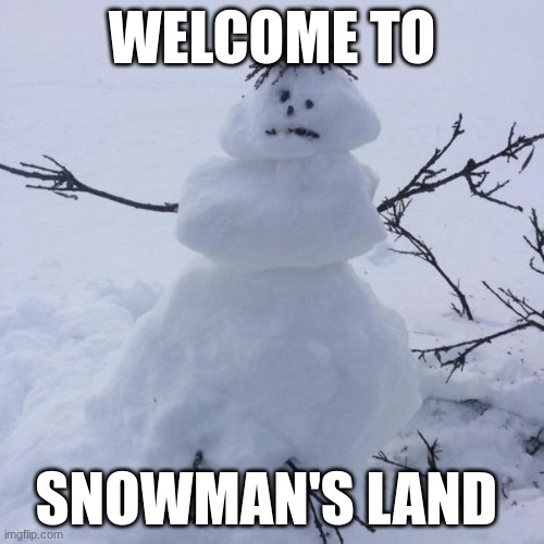 Snowman!!!! | WELCOME TO; SNOWMAN'S LAND | image tagged in snowman,funny,cool | made w/ Imgflip meme maker
