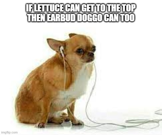 Iceu's crying over his beloved fun stream | IF LETTUCE CAN GET TO THE TOP
THEN EARBUD DOGGO CAN TOO | image tagged in troll,lmao,cry,iceu | made w/ Imgflip meme maker