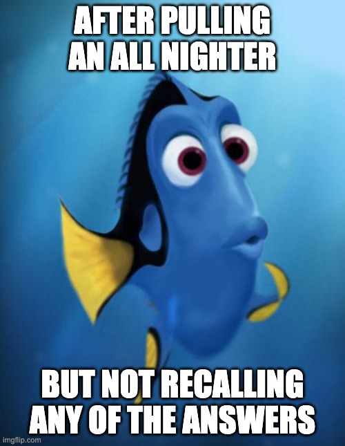 Dory | AFTER PULLING AN ALL NIGHTER; BUT NOT RECALLING ANY OF THE ANSWERS | image tagged in dory | made w/ Imgflip meme maker
