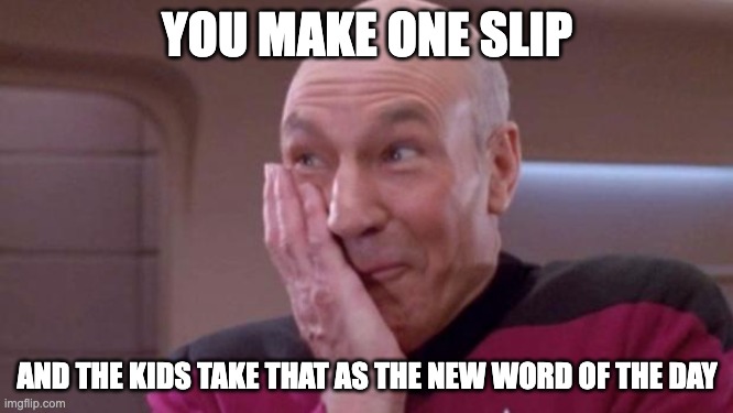 picard oops | YOU MAKE ONE SLIP; AND THE KIDS TAKE THAT AS THE NEW WORD OF THE DAY | image tagged in picard oops | made w/ Imgflip meme maker
