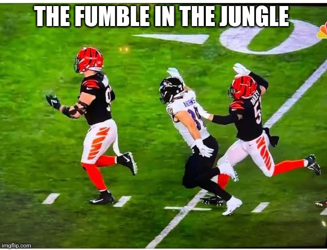 Fumble in Jungle | THE FUMBLE IN THE JUNGLE | image tagged in funny,nfl memes,bengals | made w/ Imgflip meme maker