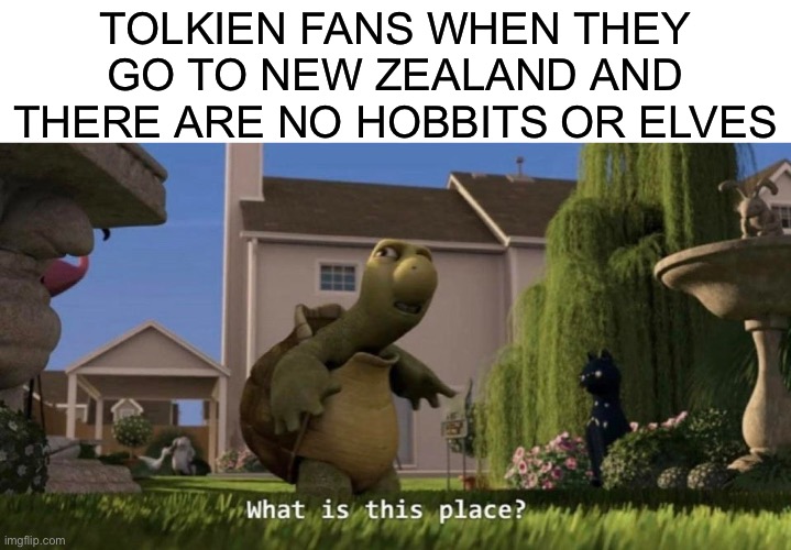 Where are they? | TOLKIEN FANS WHEN THEY GO TO NEW ZEALAND AND THERE ARE NO HOBBITS OR ELVES | image tagged in what is this place,tolkien,lord of the rings,the hobbit,memes,funny memes | made w/ Imgflip meme maker