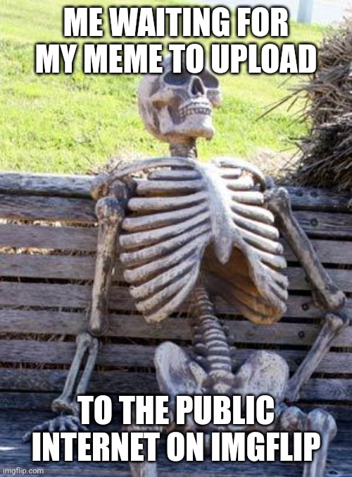 This happened to me a couple times | ME WAITING FOR MY MEME TO UPLOAD; TO THE PUBLIC INTERNET ON IMGFLIP | image tagged in memes,waiting skeleton,imgflip,internet explorer so slow | made w/ Imgflip meme maker
